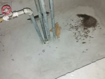 山丹卫生间测漏水价格明细