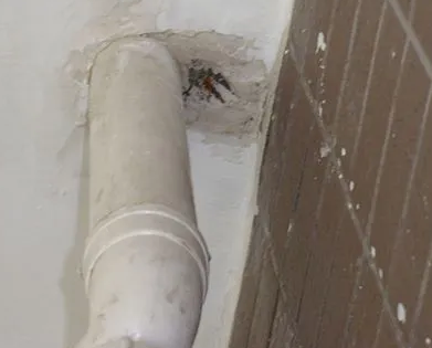 山丹漏水检测哪家好